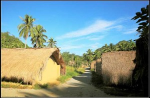 Baicha-village