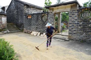 Shibahang-Village