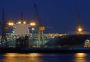 Offshore trade pilot area to be established at the Yangpu economic development zone Offshore trade pilot area to be established at the Yangpu economic development zone