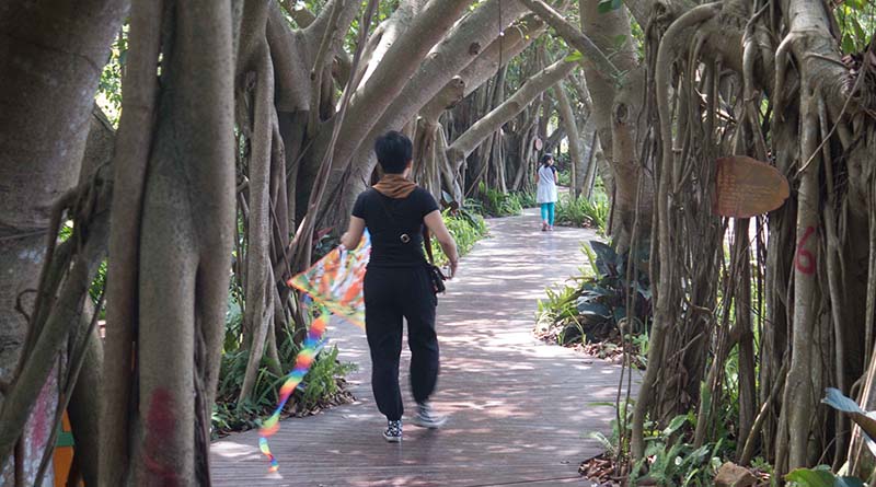 Evergreen-Park-Haikou-(13)