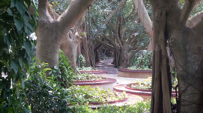 Evergreen-Park-Haikou-(21)