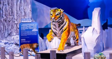 BrickLive Animal Paradise, an interactive LEGO experience has come to Haikou BrickLive Animal Paradise, an interactive LEGO experience has come to Haikou