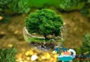 Palm Eco-Town Development Co Ltd signs development project worth 6.6 billion Yuan ($962.63 million) for Qionghai Palm Eco-Town Development Co Ltd signs development project worth 6.6 billion Yuan ($962.63 million) for Qionghai
