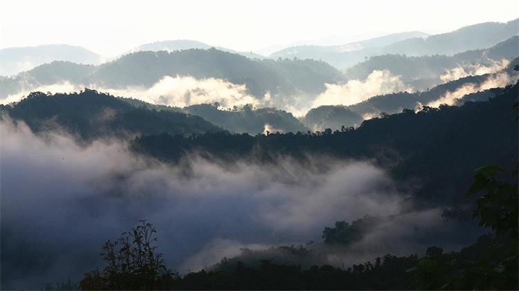 Wuzhishan Mountain