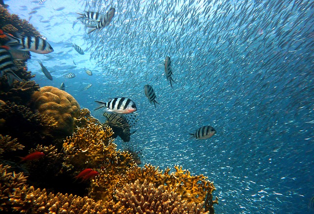 Yalong Bay Underwater World