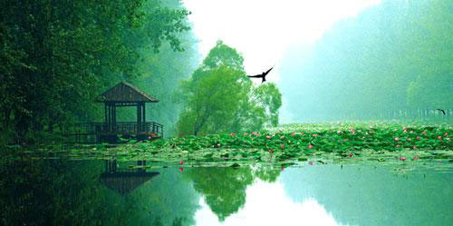 wetlands-in-hainan