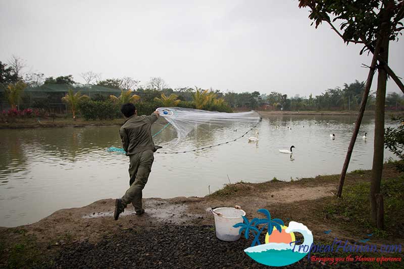 Guilin-Yang-Zoo-Haikou