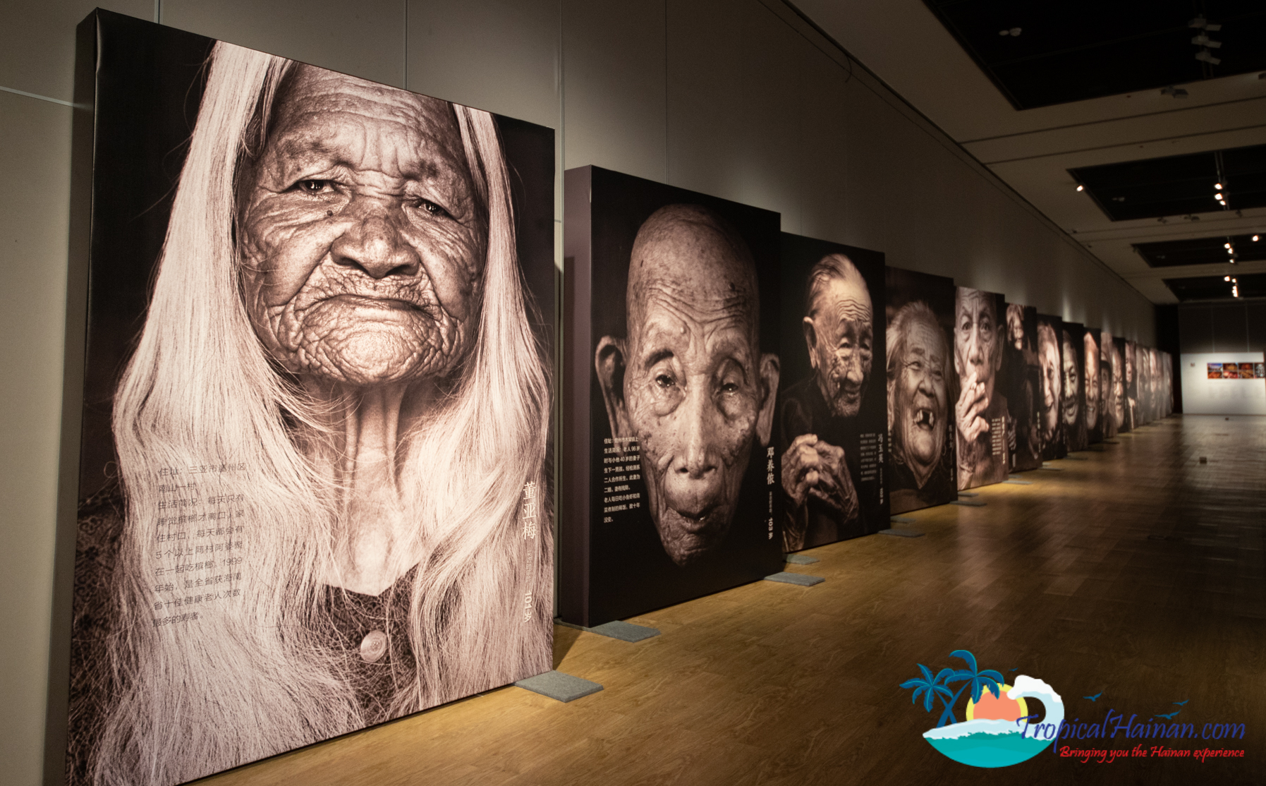 Haikou Museum Longevity Photography Expo (2)