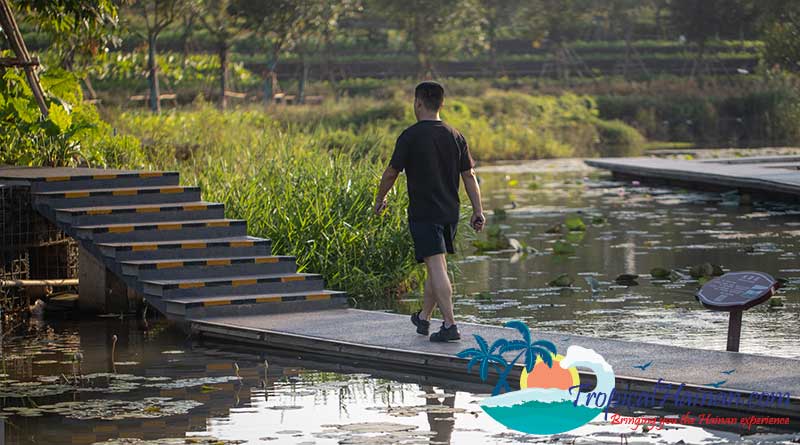 Discover-the-Meishe-Wetlands-Park-Haikou-11