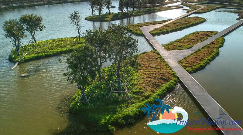 Discover-the-Meishe-Wetlands-Park-Haikou-2