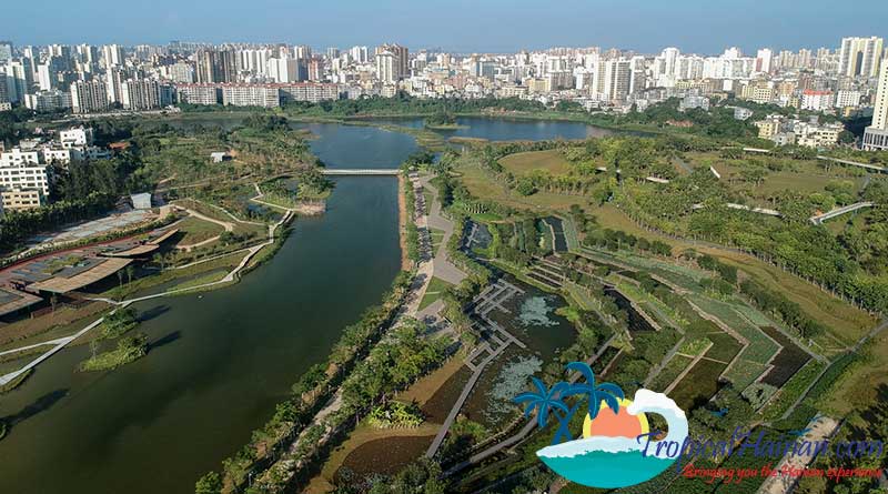 Discover-the-Meishe-Wetlands-Park-Haikou