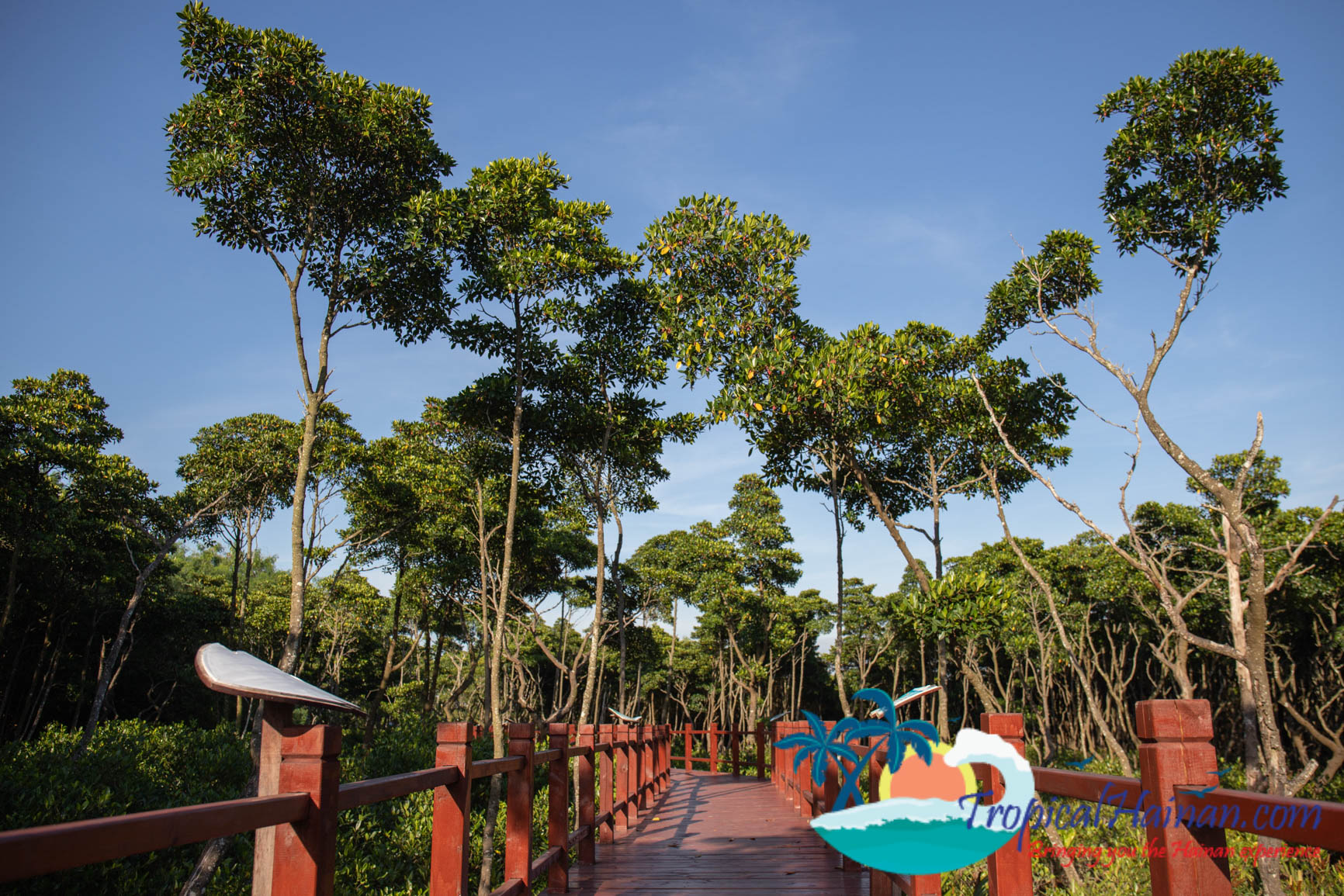 Dongzhaigang Mangroves and wetlands Haikou Hainan Island China (4 of 18)