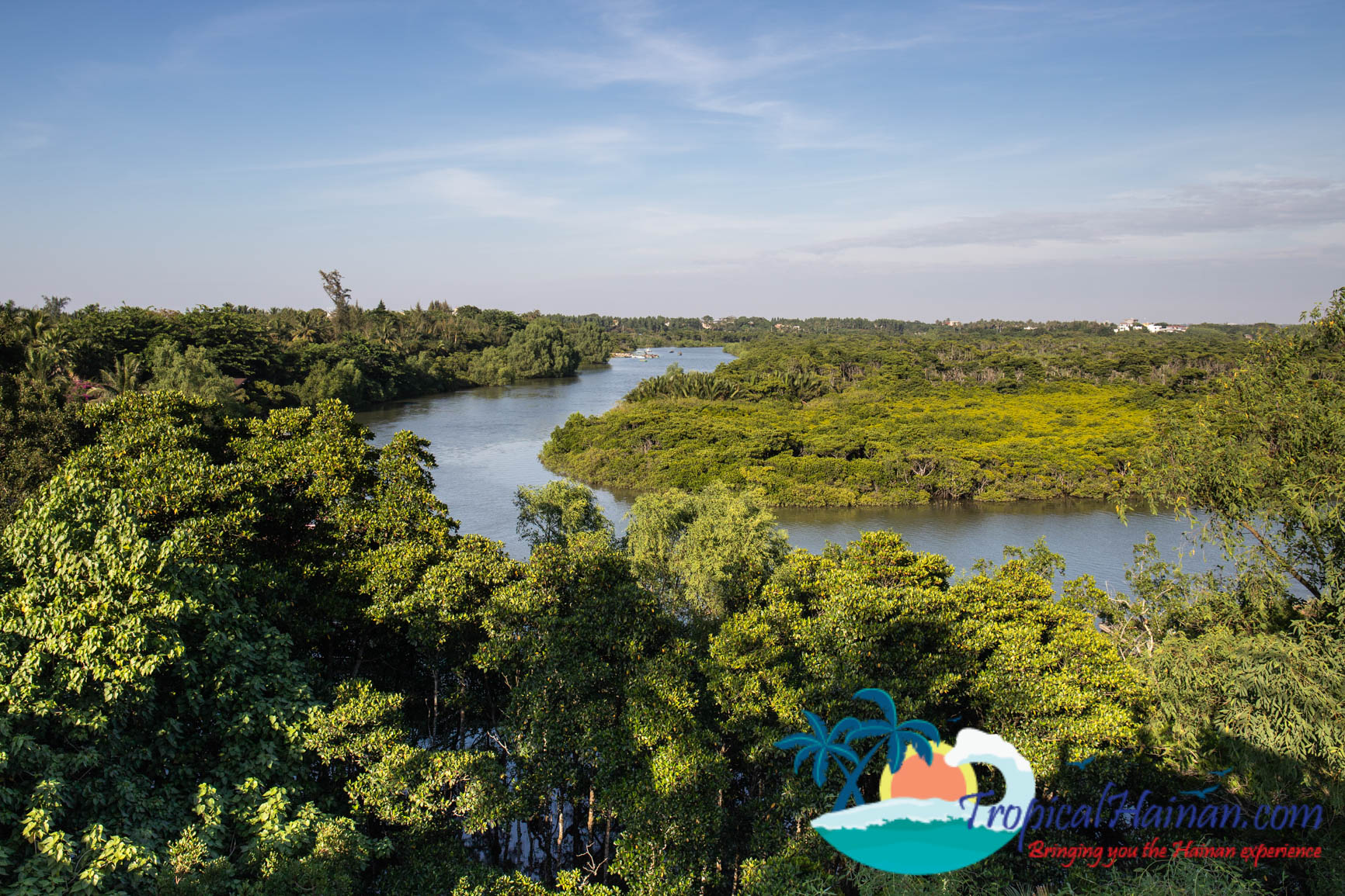 Dongzhaigang Mangroves and wetlands Haikou Hainan Island China (5 of 18)