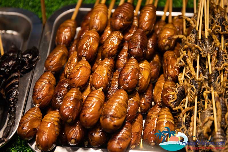 Qilou-snack-street-Haikou-City-Hainan-Island-silkworms