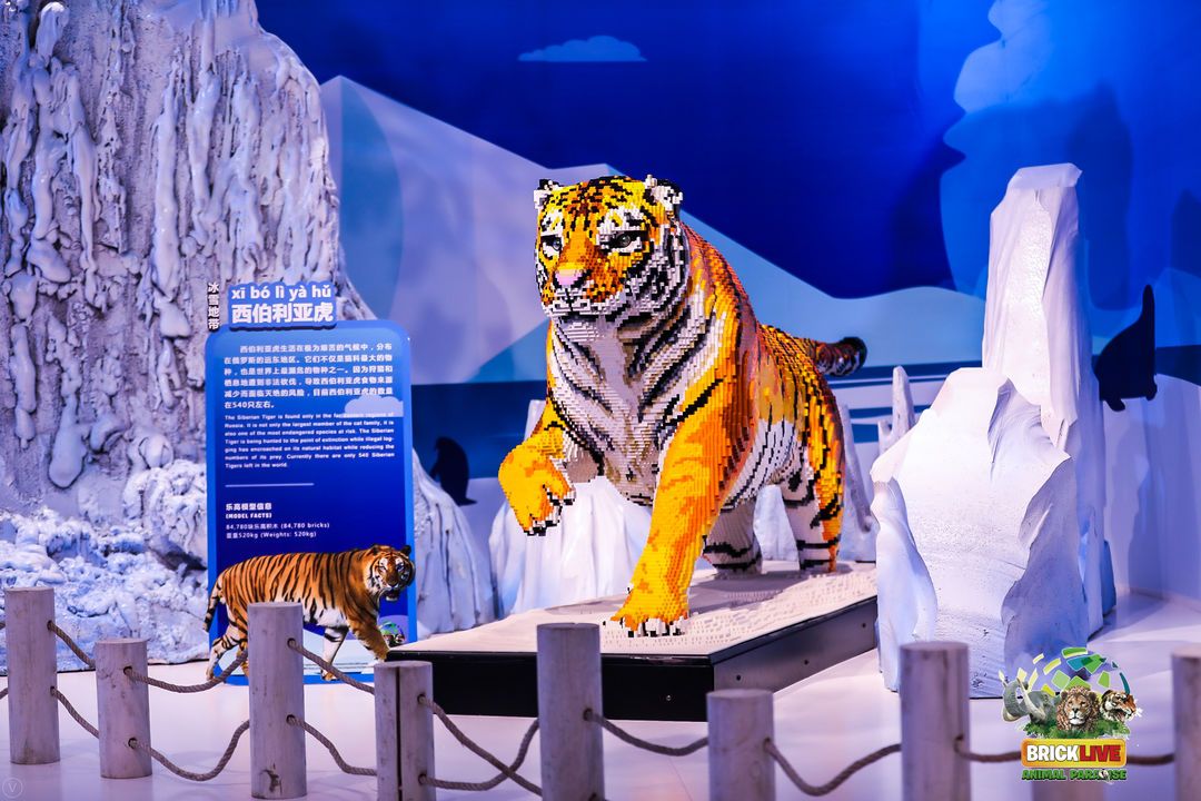 BrickLive Animal Paradise, an interactive LEGO experience in Haikou (3)