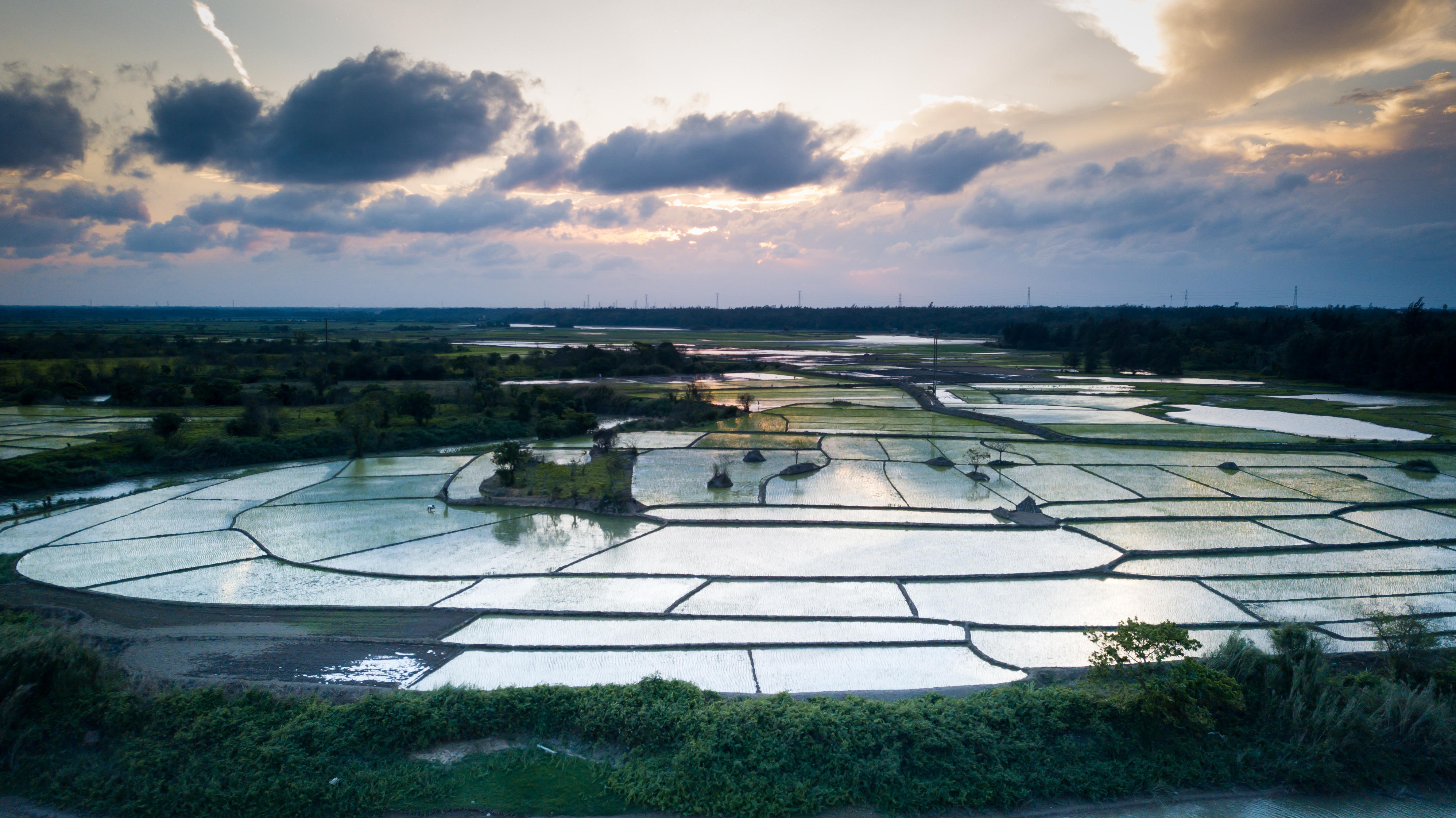 Working in the rice paddy fields Haikou Hainan Island China