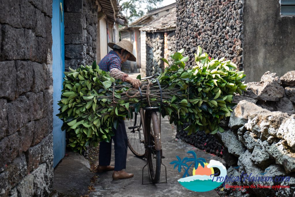 A maze of volcanic stone, discover Mei xiao village (21)