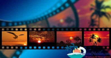 Italian Summer Film Festival kicks off, runs until Aug 4th Hainan Film Festival