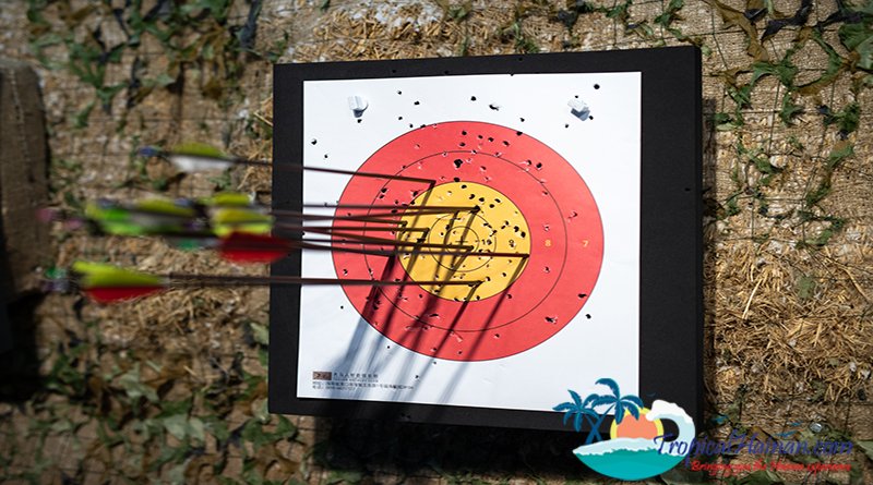 Arrows in bullseye