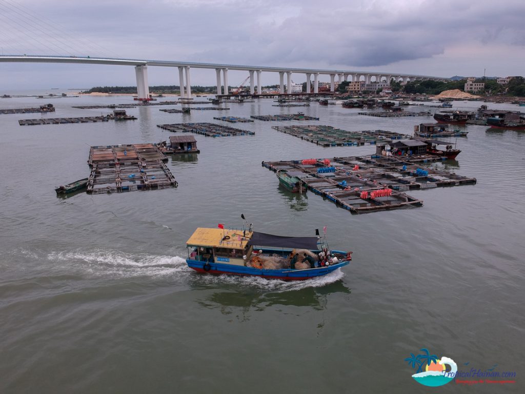 drone photo of boat and fishing port 