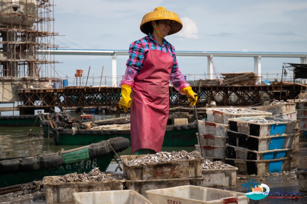 Hainan fish market 