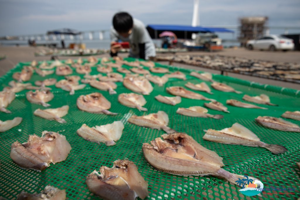 Dried fish at fish market China 