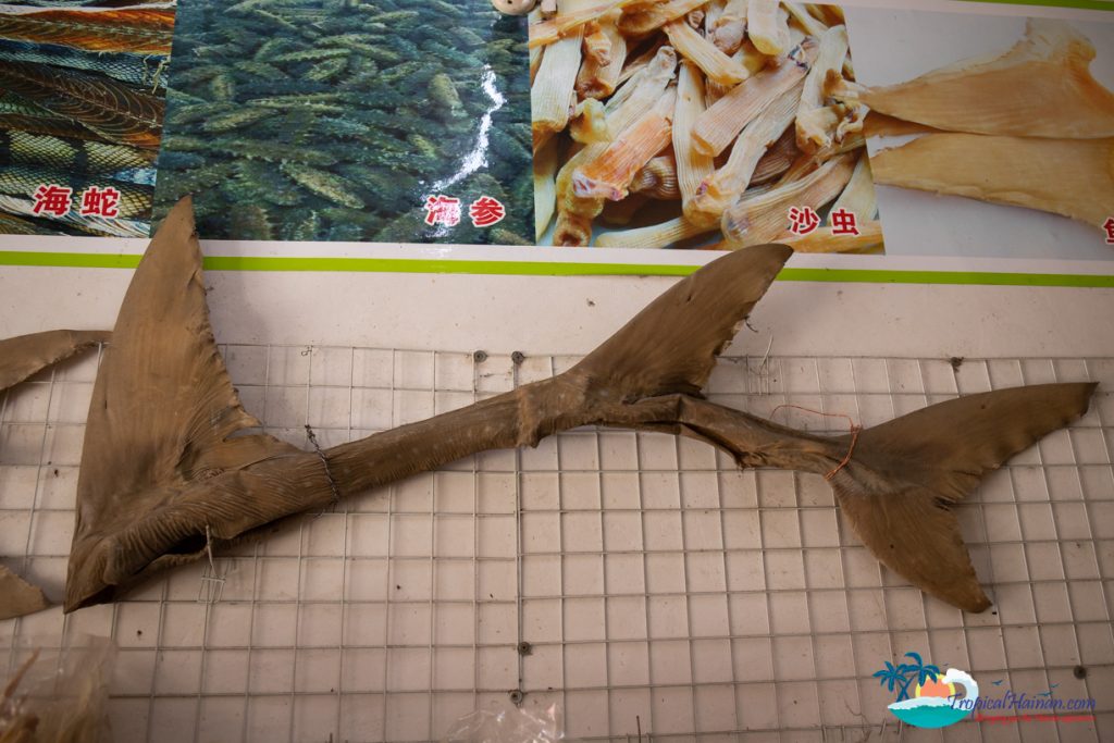 shark fin hanging in a store wenchang hainan island