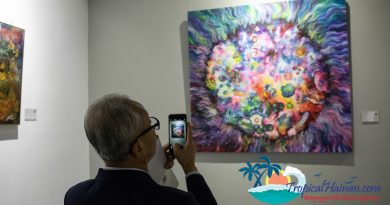 New Art Gallery opens in the Haikou FTZ New Art Gallery opens in the Haikou FTZ