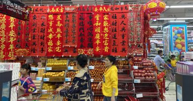 Spring Festival Shopping in Haikou by Taisiia Timofieieva Spring Festival Shopping in Haikou by Taisiia Timofieieva