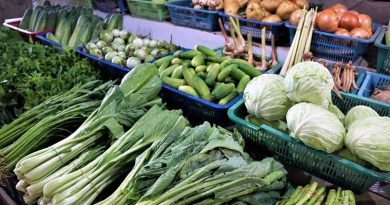 New tractability system for food products to be introduced in Haikou City New tractability system for food products to be introduced in Haikou City