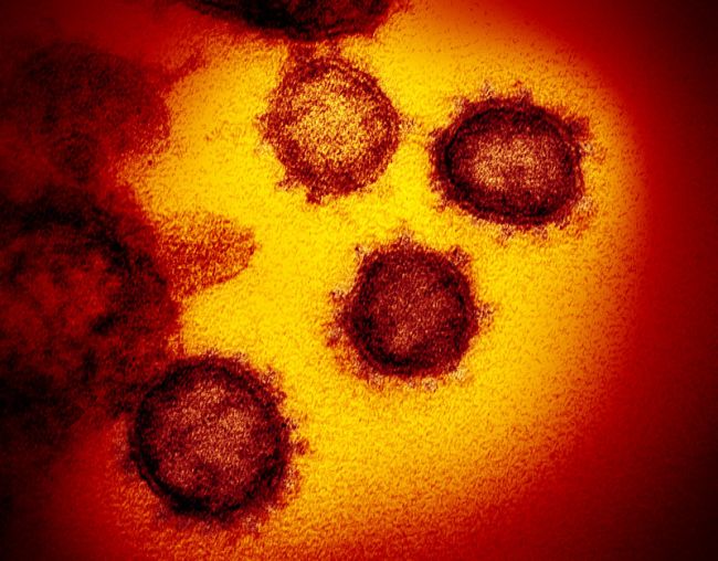 Super close up images of the new coronavirus 3