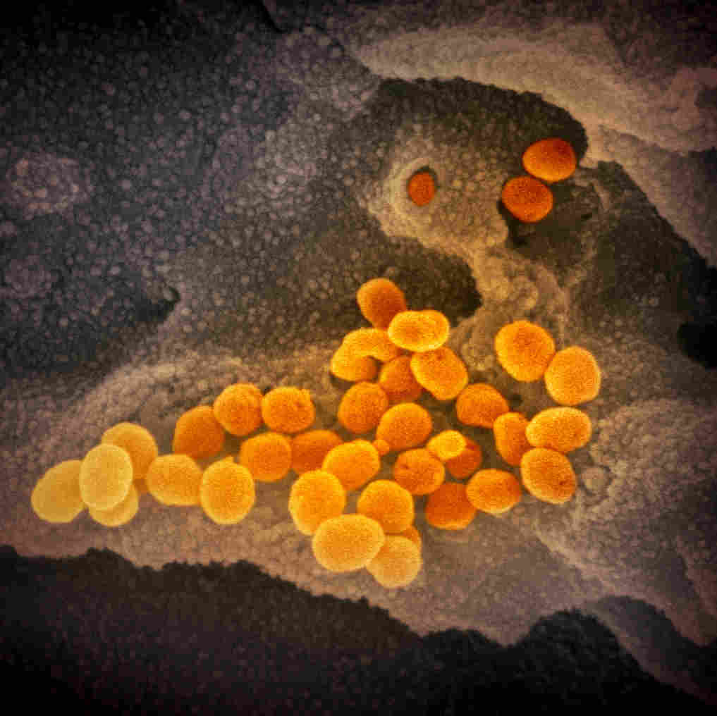 Super close up images of the new coronavirus 4