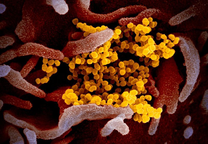 Super close up images of the new coronavirus