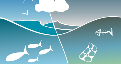 Sanya becomes first Chinese city to join WWF No Plastic in Nature initiative Sanya becomes first Chinese city to join WWF No Plastic in Nature initiative