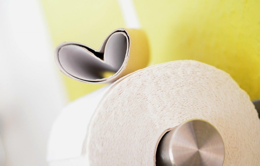 What on earth's going on with the toilet paper (9)