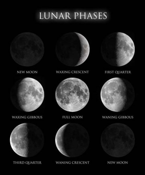 Explained, the Chinese lunar calendar