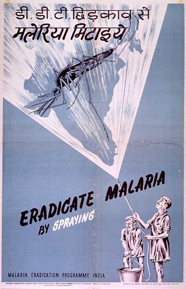 Pandemic poster 7