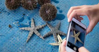 3 reasons you may want to visit Lingshui. 3 reasons you may want to visit Lingshui.