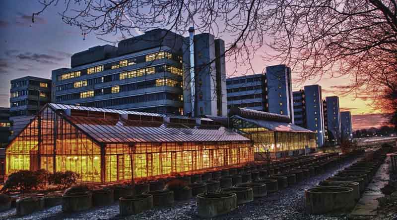 Bielefeld University