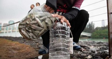 An old plastic bottle, a piece of string and a bag flour, bottle fish traps! Fishing in Haikou, Hainan island_-cover image