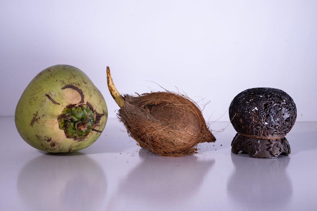 Coconut Carver