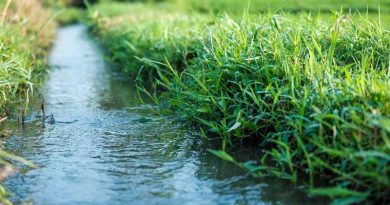Hefty fines for businesses and projects illegally discharging sewage and pollutants Jiangdong new area waterway project