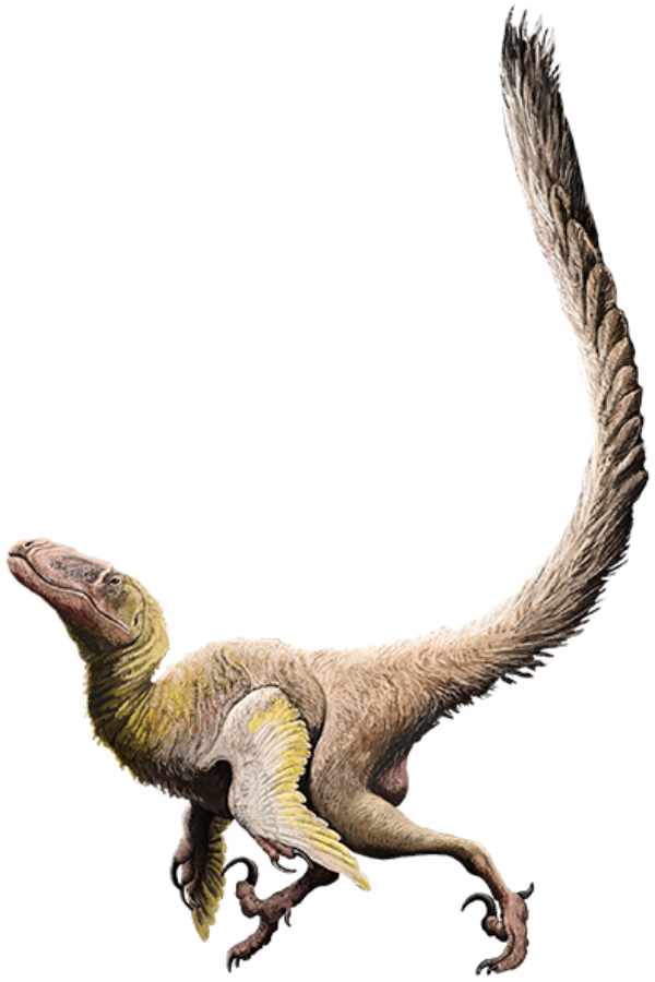 Deinonychus