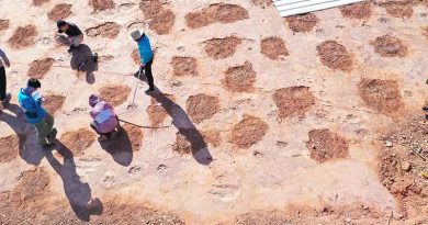 240, 80 million year old dinosaur fossilised footprints discovered in Shanghang, Fujian Province Dinosaur-tracks-feature-image