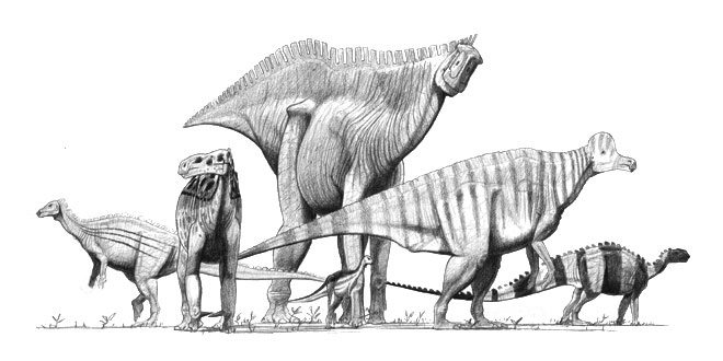 ornithopods