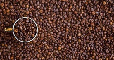 Xinglong coffee included in the China-EU protected geographical indication agreement. Hainan coffee Xinglong Wanning