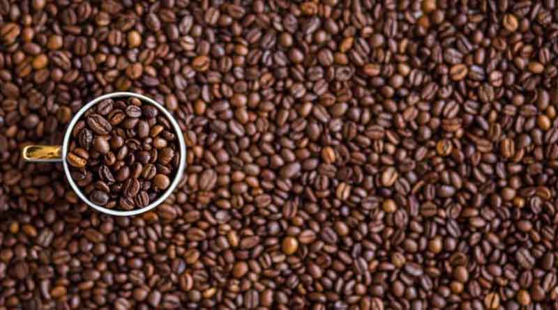 Hainan coffee Xinglong Wanning