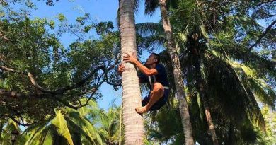 A new coconut tree climbing champion is crowned San yue san folk festival coconut climbing competition