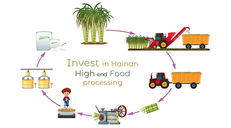 Invest-in-Hainan-high-end-food-processing