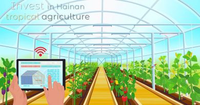 Invest in Hainan, tropical agriculture Invest-in-Hainan-tropical-agriculture